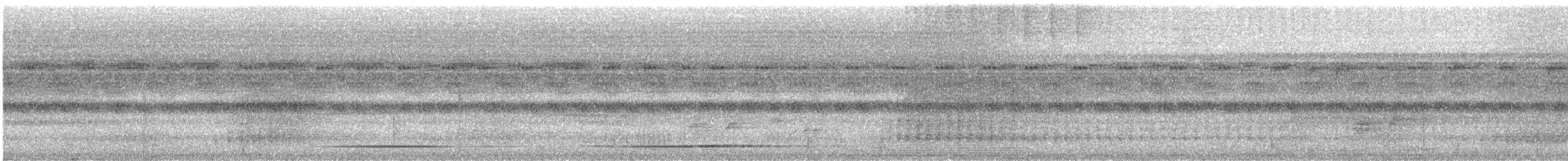 White-throated Tinamou - ML532354161