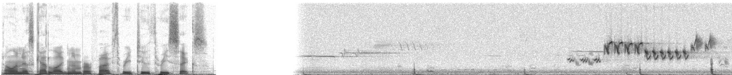 Lincoln's Sparrow - ML53236