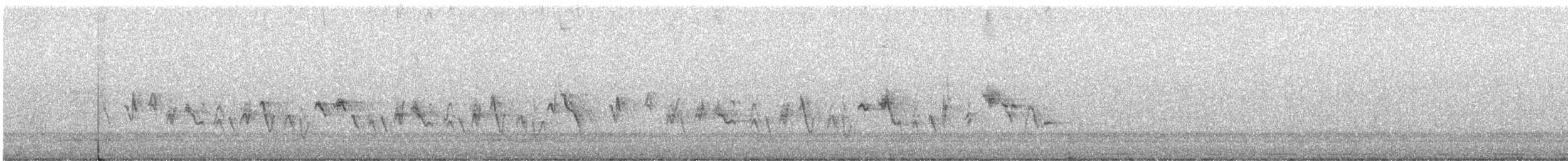 House Finch - ML532360931