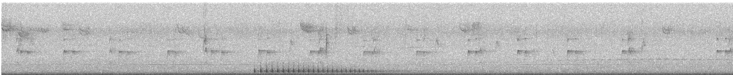 Pileated Woodpecker - ML532369201