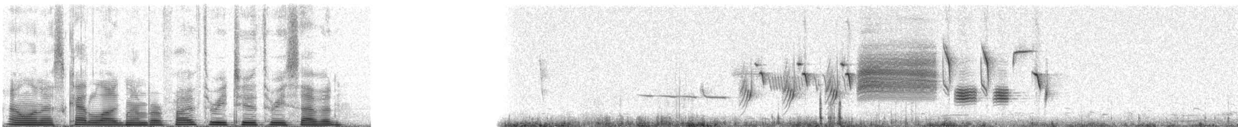 Song Sparrow - ML53237