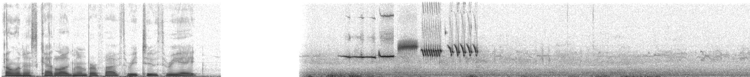 White-crowned Sparrow - ML53238