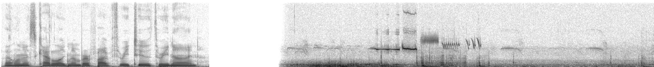 Savannah Sparrow - ML53239