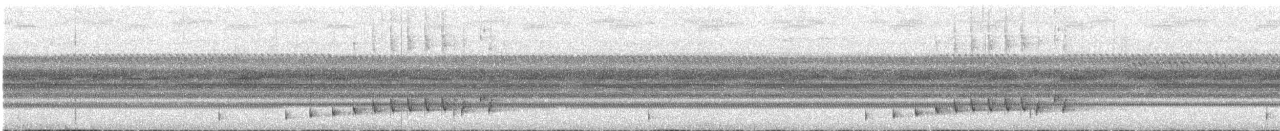 Buff-collared Nightjar - ML532394471