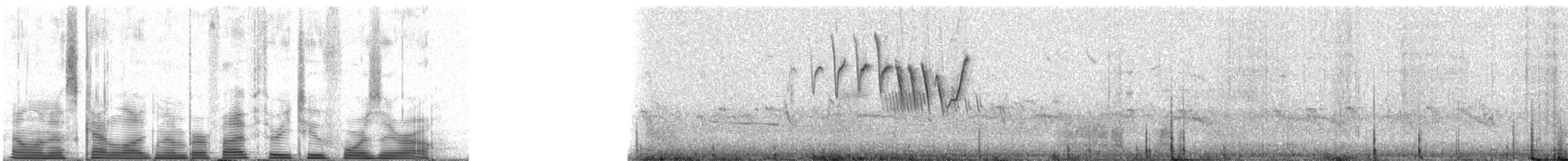 Northern Yellow Warbler - ML53240