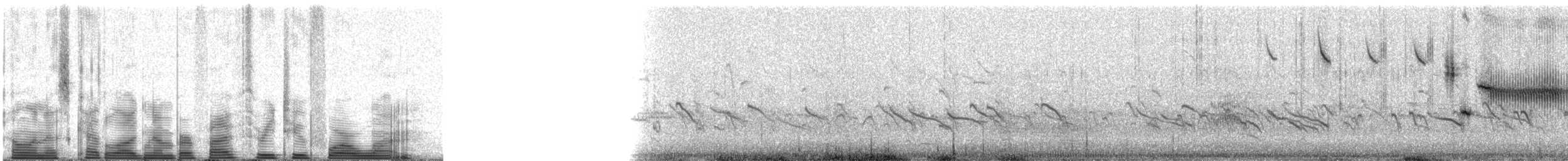 Savannah Sparrow - ML53241