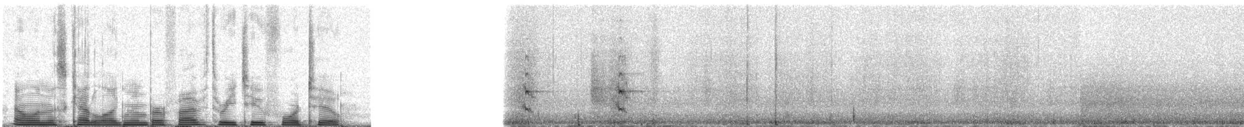 Northern Hawk Owl (American) - ML53242