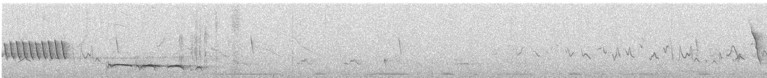 Лінивка-смугохвіст плямистобока - ML532424261