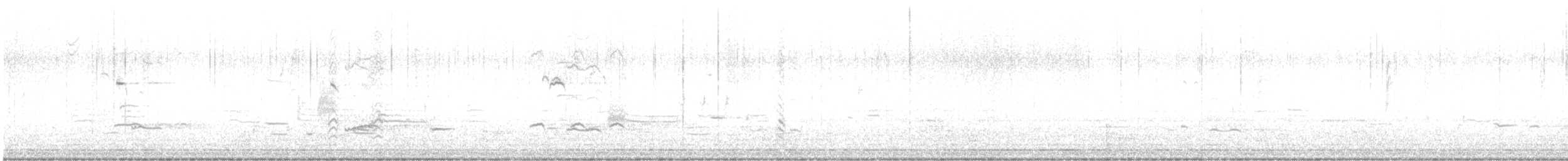 Sarcelle d'hiver (carolinensis) - ML532448341