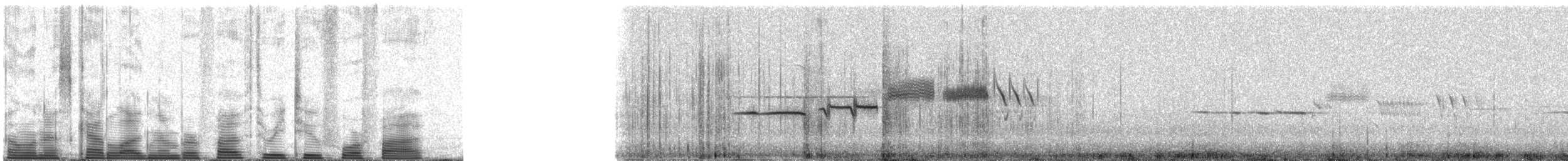 White-crowned Sparrow - ML53245