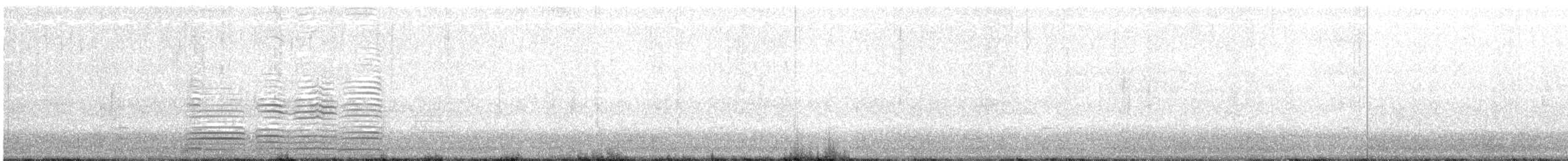 Cisne Trompetero - ML532457621