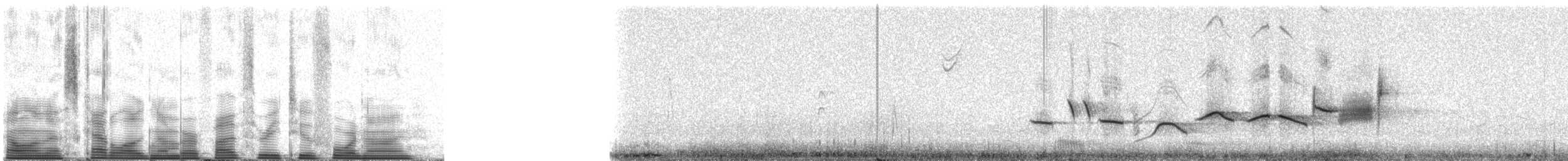 Fox Sparrow - ML53249