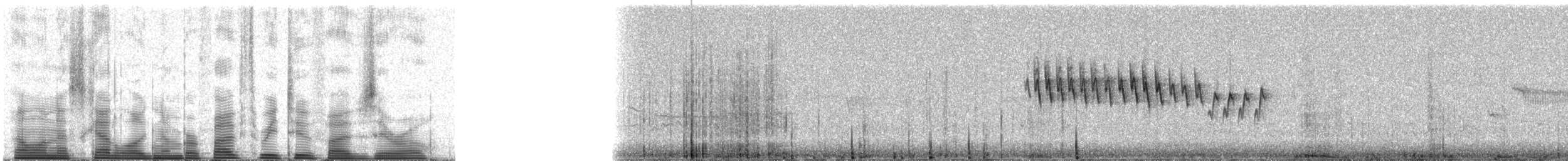 Orange-crowned Warbler - ML53250