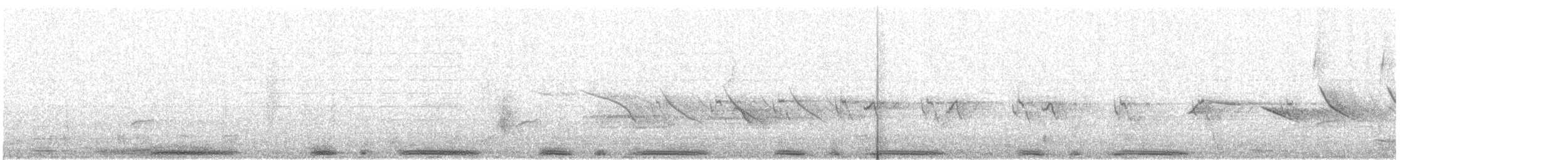 holub skvrnokřídlý - ML532501661