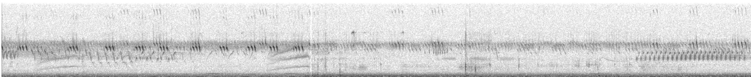 Kaya Çıtkuşu - ML532511101
