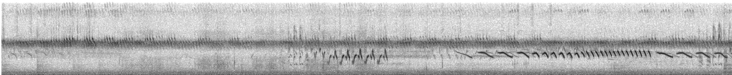 Field Sparrow - ML532511131