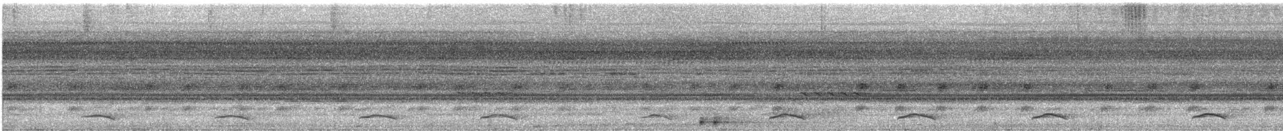Pauraquenachtschwalbe - ML532515331