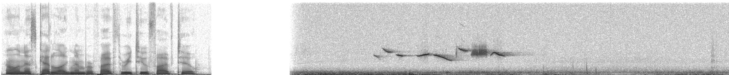 Fox Sparrow - ML53252