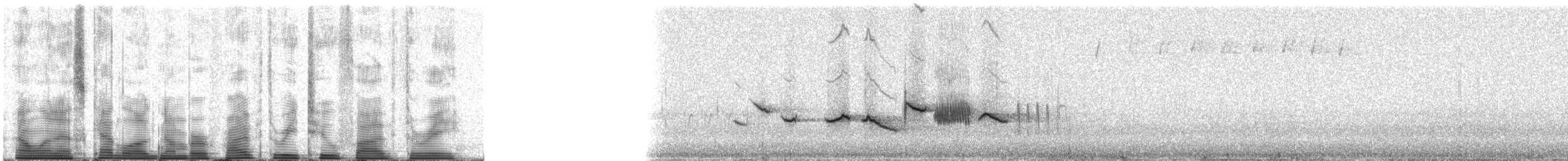 Fox Sparrow - ML53253