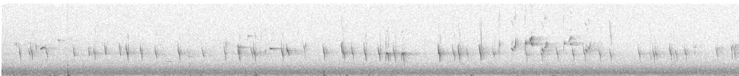 Bec-croisé des sapins (type 1) - ML532538511