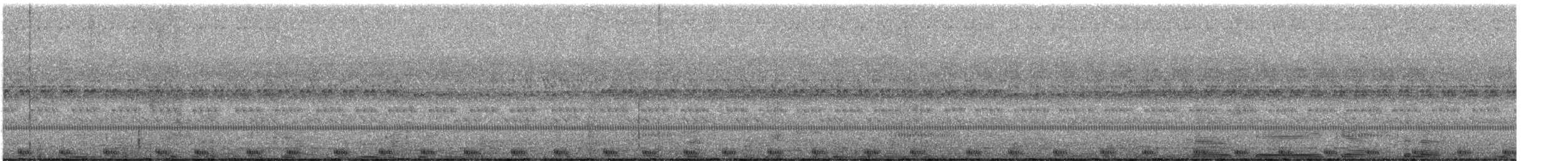 Large-tailed Nightjar - ML532546791
