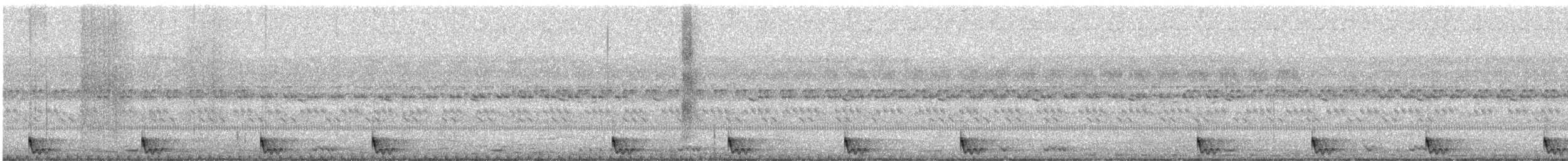 Large-tailed Nightjar - ML532546811