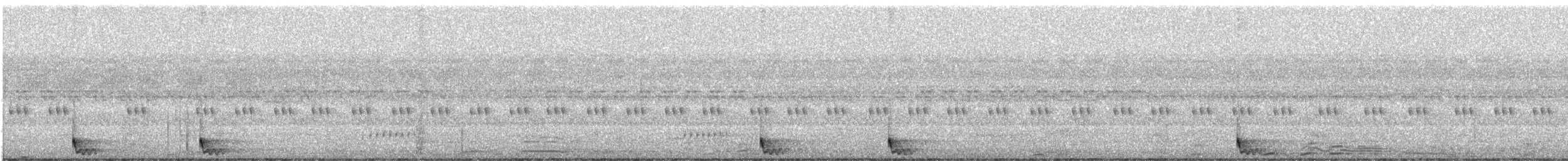 Large-tailed Nightjar - ML532546821