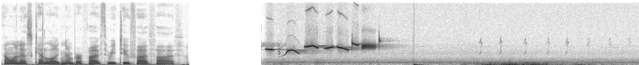 Fox Sparrow - ML53255