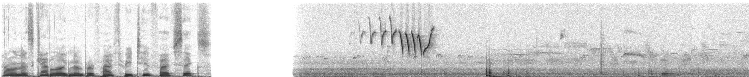 Northern Yellow Warbler - ML53256