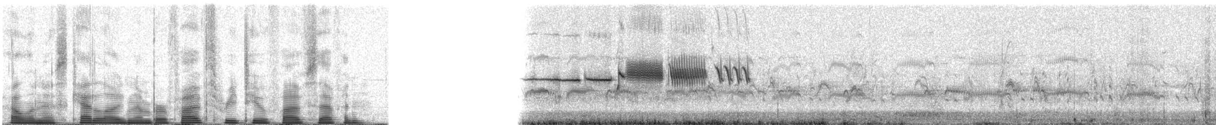 White-crowned Sparrow - ML53257