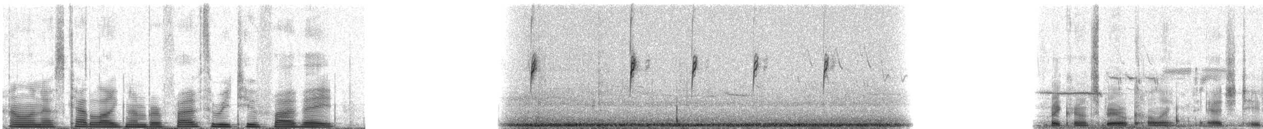 White-crowned Sparrow - ML53258