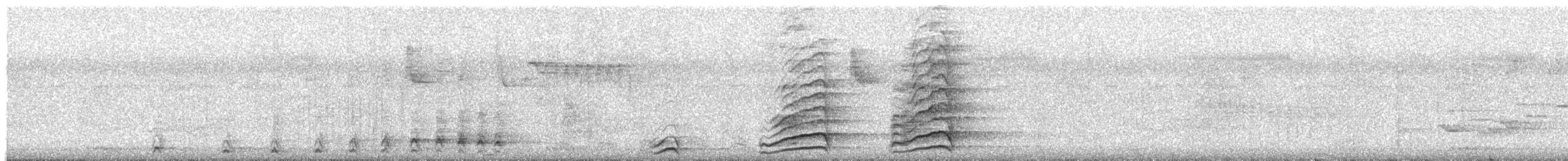 Malabar Gray Hornbill - ML532583731