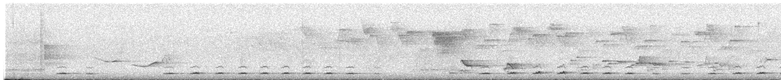 Jungle Owlet - ML532583761