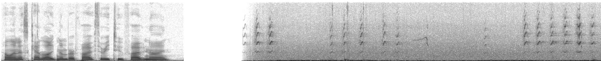 Northern Hawk Owl (American) - ML53259