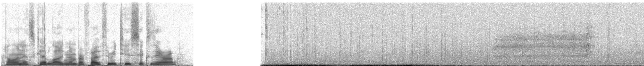 Northern Hawk Owl (American) - ML53260