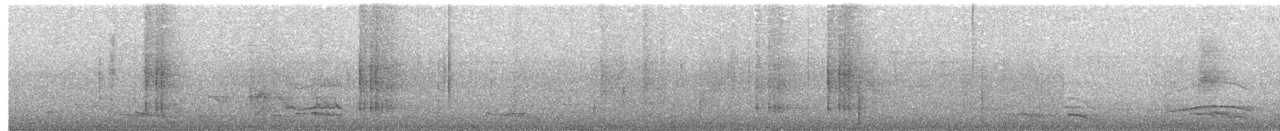 Зернолуск смугастоволий - ML532632341