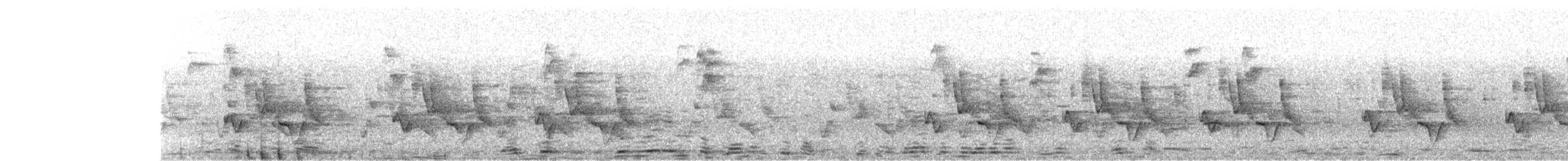 Chubb's Cisticola - ML532689301