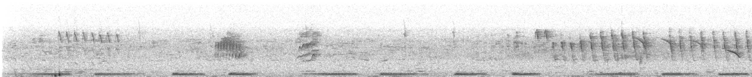 Gurrtaube - ML532691851