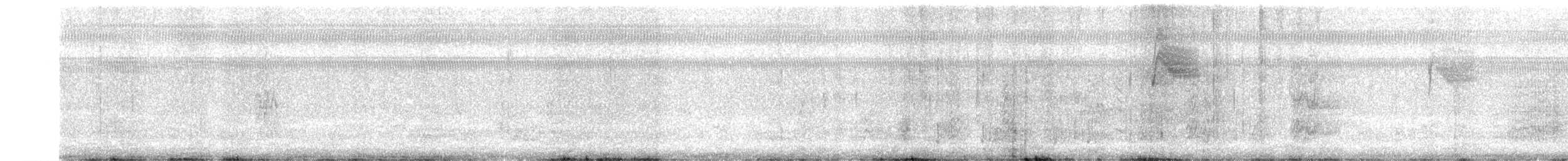 Çizgili Küçük Tiran - ML532704611
