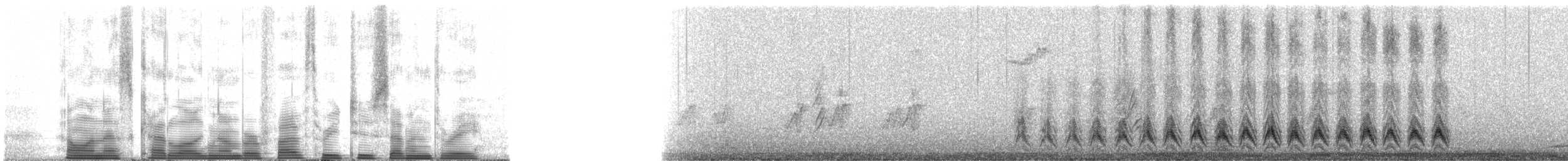 Cucarachero Desértico - ML53273