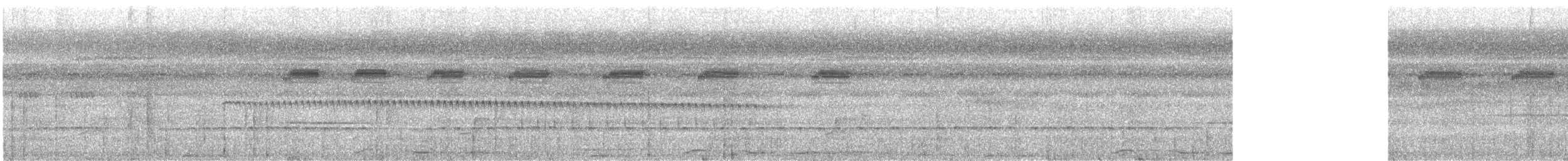 Tamatia brun - ML532739631