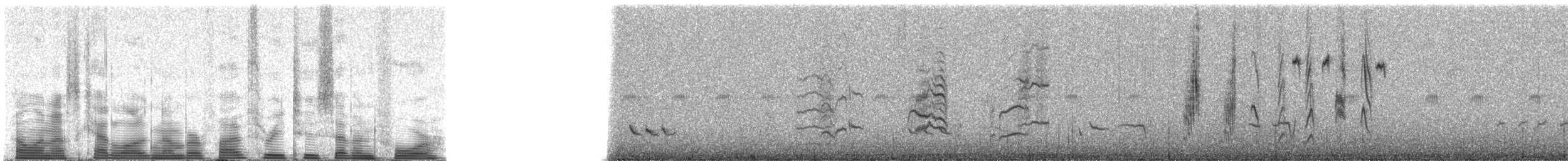 nordmyggsmett (obscura gr.) - ML53274