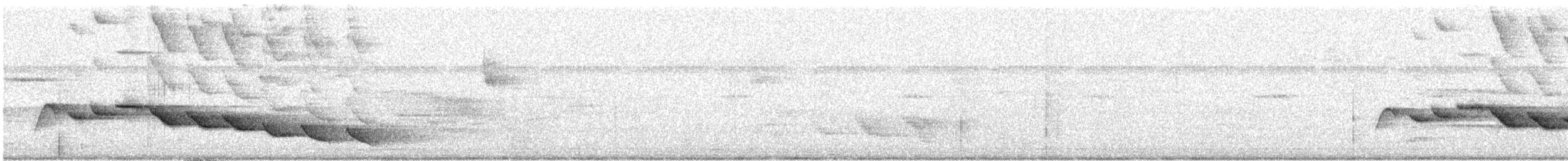 Cucarachero Picofino - ML532750681