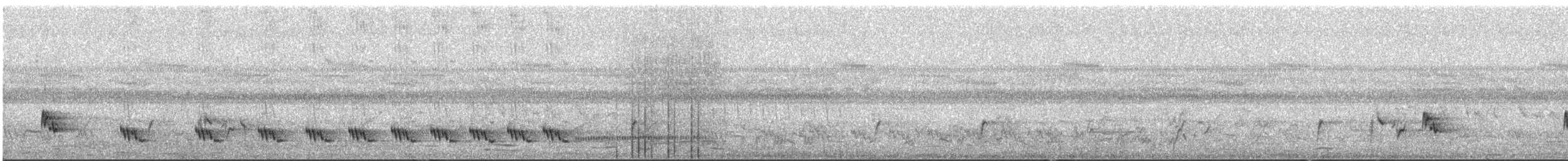Белокрылая бурогрудка - ML532757051