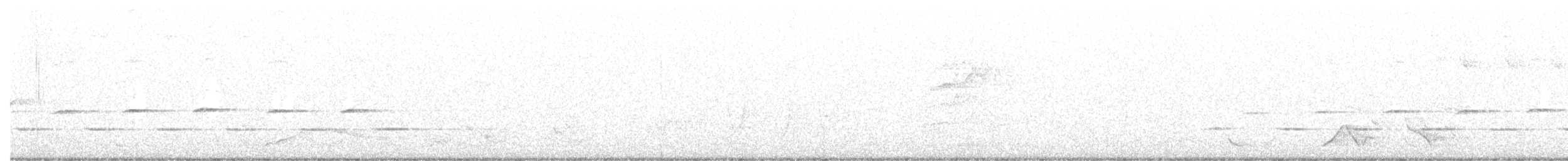 Spotted Quail-thrush - ML532757821
