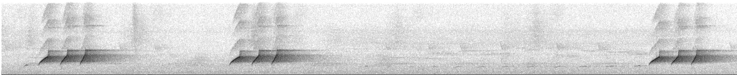 Dusky Long-tailed Cuckoo - ML532774321