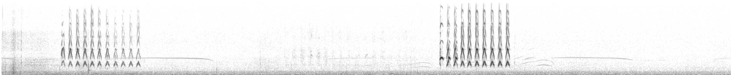 småspove (phaeopus) - ML532789181