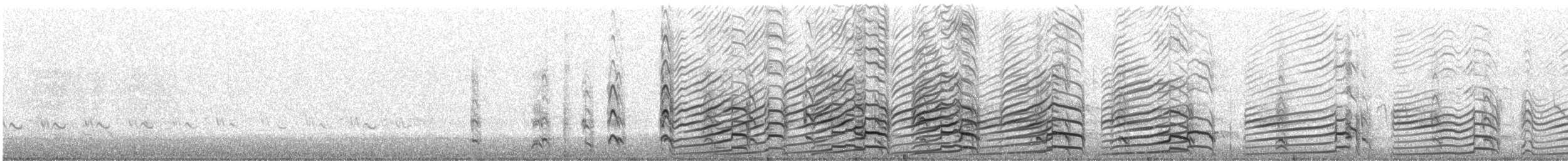 Schmarotzerraubmöwe - ML532792271