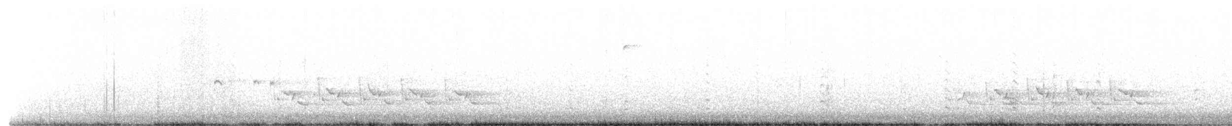 Каролинский крапивник - ML532796451