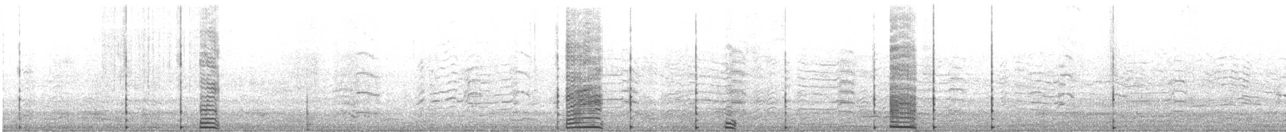 Krähenscharbe - ML532807211